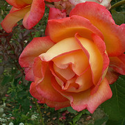 PICT2094-5