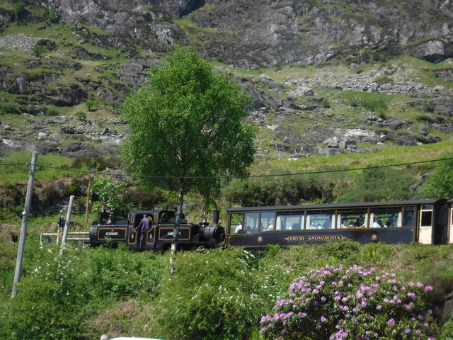 DSCF7898.jpg