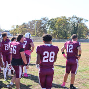 IMG-3731