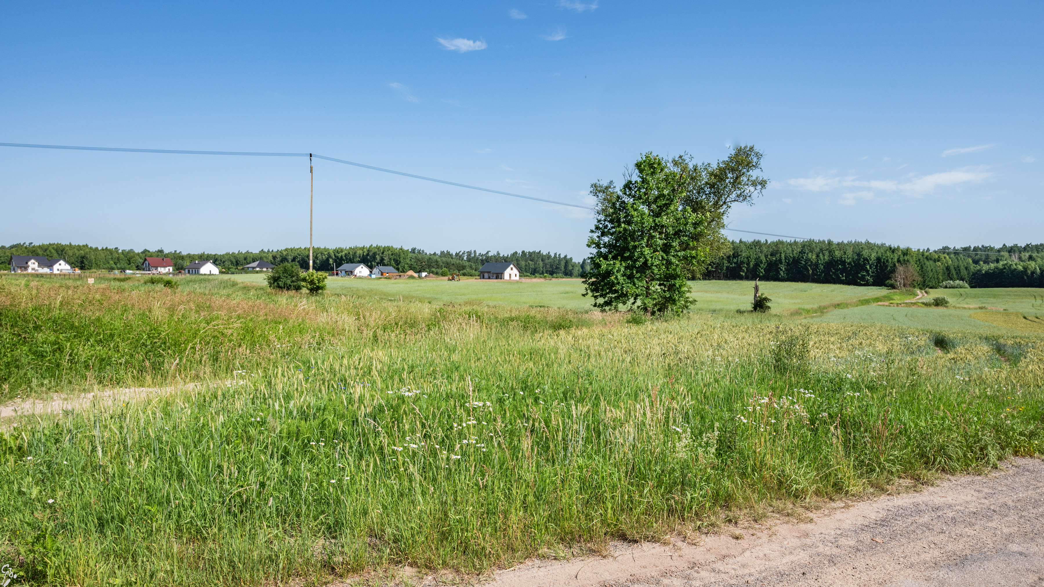 warmia d1 06