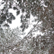 1c0040m