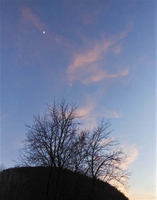 DSCN9307-2