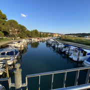 IMG-2522