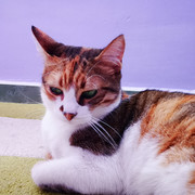 IMG-20211124-130449