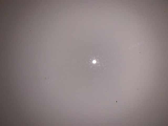IMG-3152