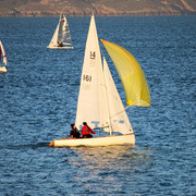 IMGP6974