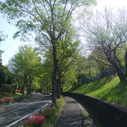 DSC-0004