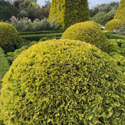 IMG-0737