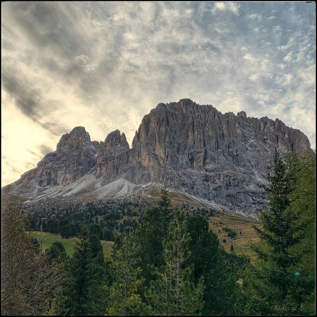 comp-IMG-3472