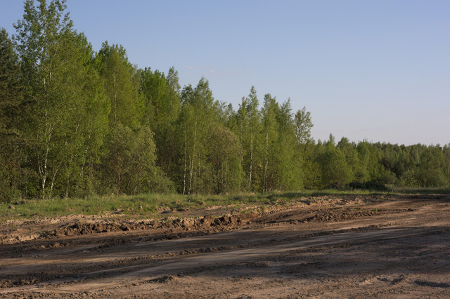 DSC3504.jpg