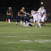 IMG-4650
