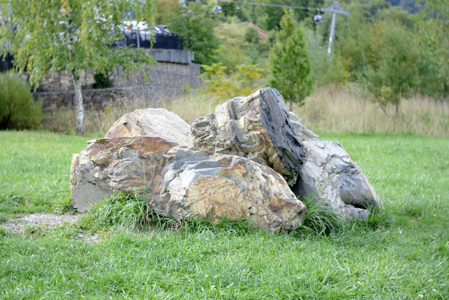 DSC7141.jpg