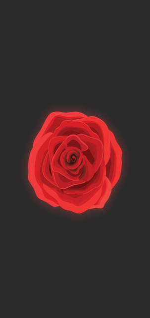 Minimalist19