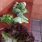 IMG20240121175153