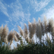 IMG-20221023-111047