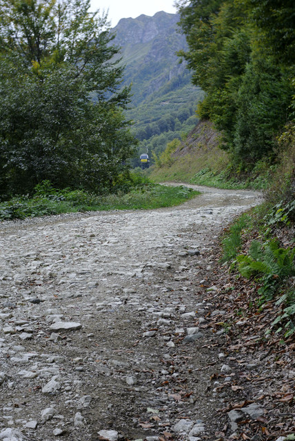 DSC6970.jpg