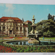 IMG-6429