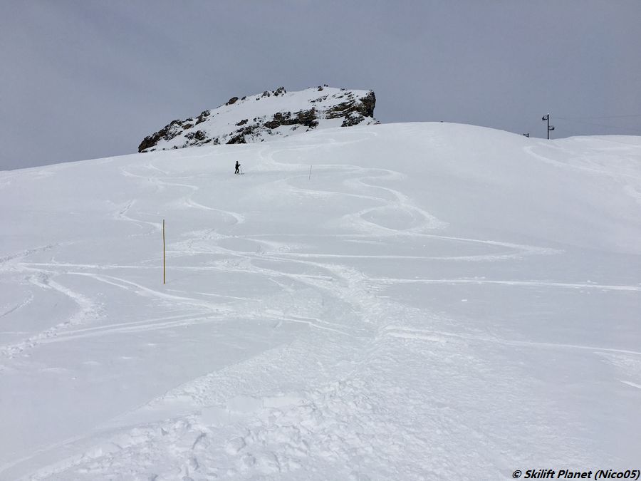 IMG-2689.jpg