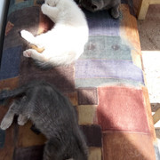 IMG 20180603 164725