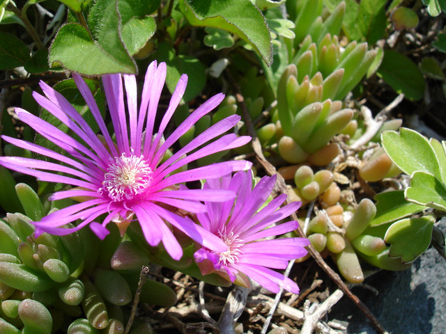 2010-06-05-092