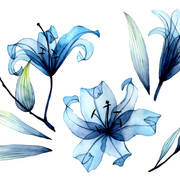 shutterstock 1918239281