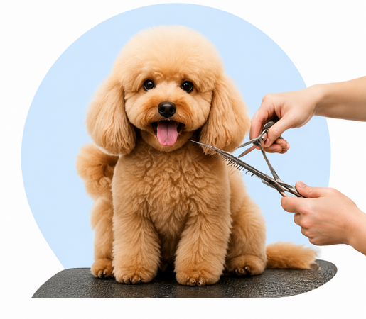 Full Grooming Services