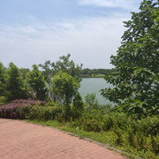 IMG20200717123736