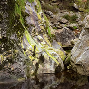 DSCF2360-2