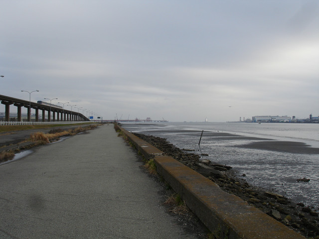2009-03-01-46