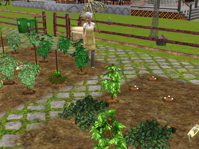 Screenshot-645