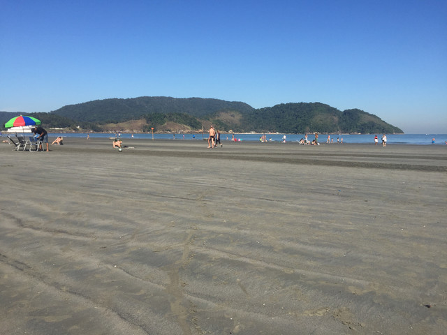 IMG-3726.jpg