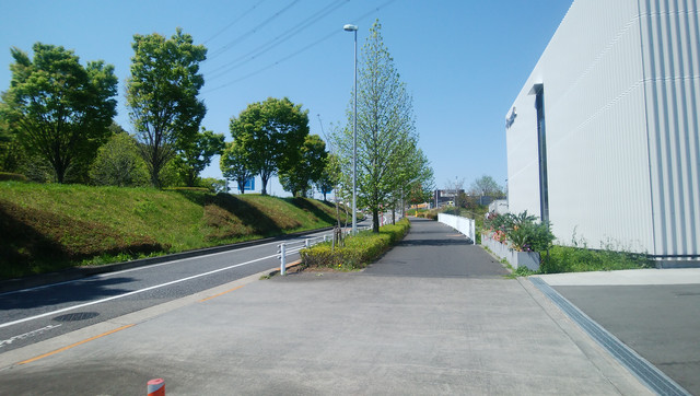 DSC-0033