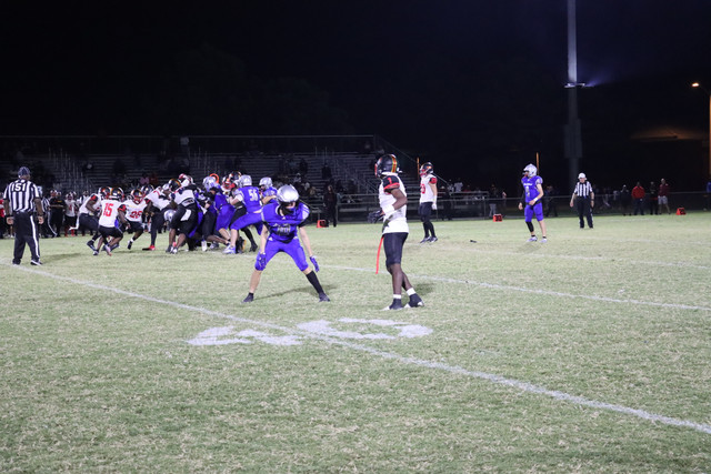 IMG-1317