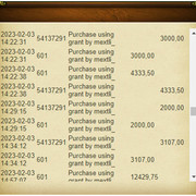 Accounting11-Mextli
