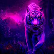 17Aswa7
