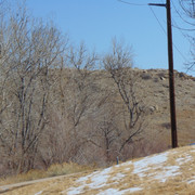 DSC00182