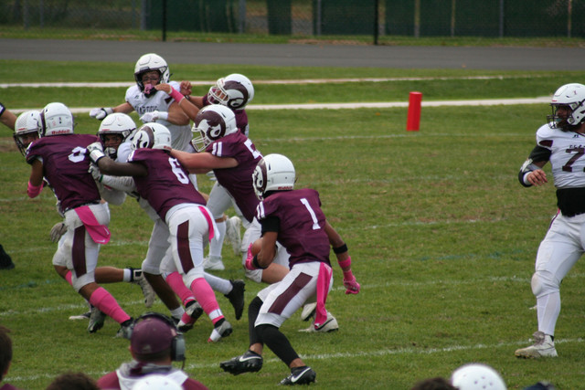 IMG-0017.jpg