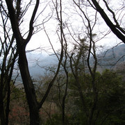 2009-03-25-080