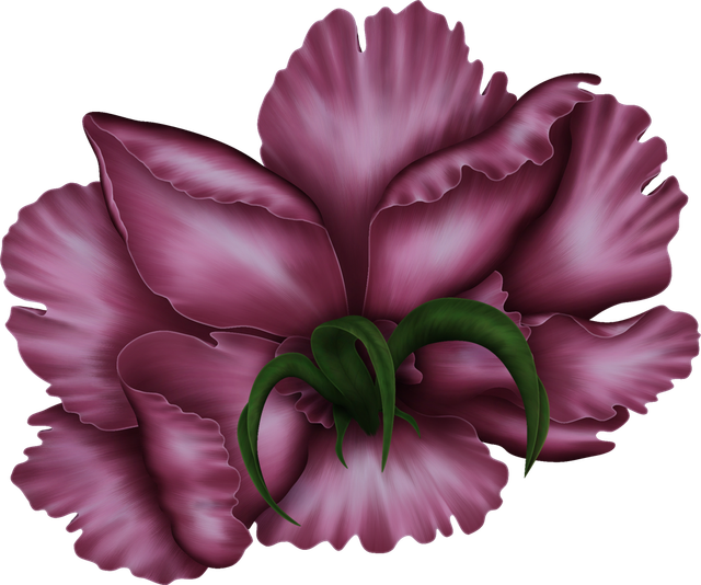 peonies-bloom2