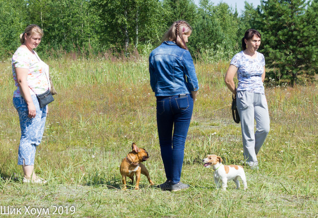 IMG-6122