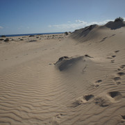 DSC01178