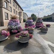 IMG-2407
