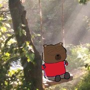 swing-bear