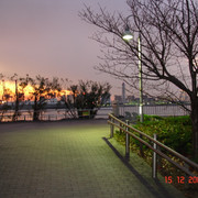 2007-12-15-24