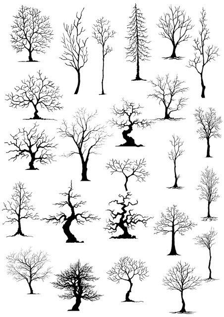shutterstock-480058786.jpg