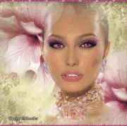6.gif