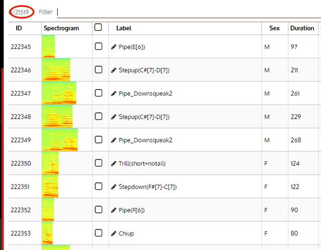 Case-Study-Filter-Before.png