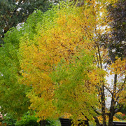 DSC00076