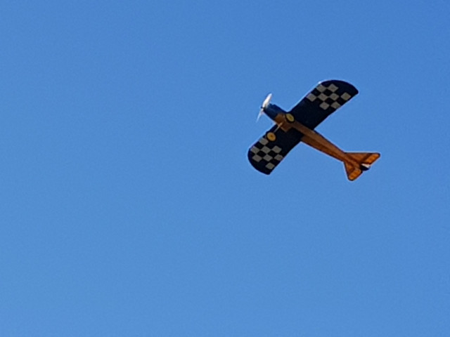 20241027-144601-0.jpg
