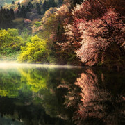 wallpaperbetter-com-1920x1080ertert